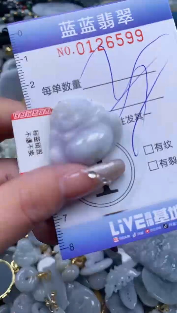 【闪购商品】翡翠颈饰未镶嵌闪购0126599