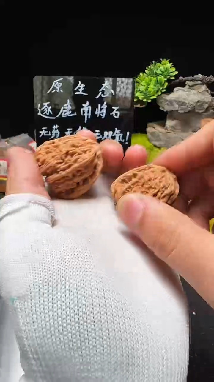文玩核桃把件南将石