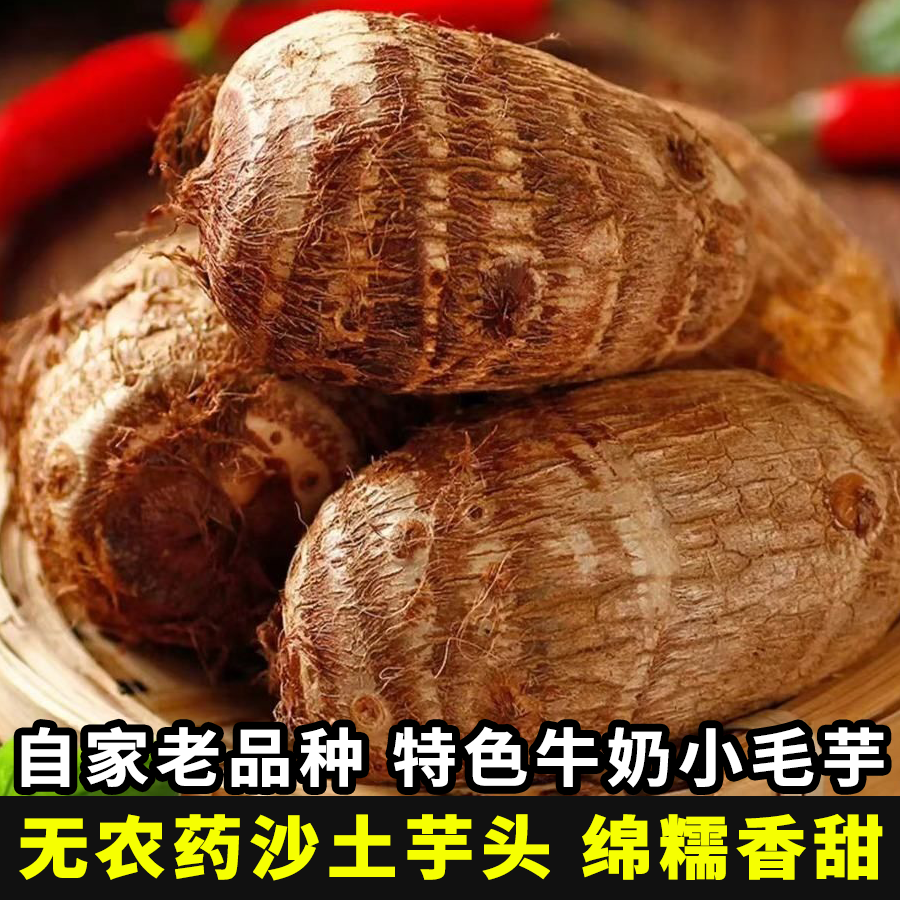 【新鲜软糯农家芋头】山东牛奶芋头奶香粉糯小芋头应季现挖毛芋头