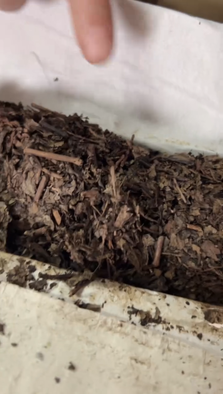 高马二溪  1983年老茶100克