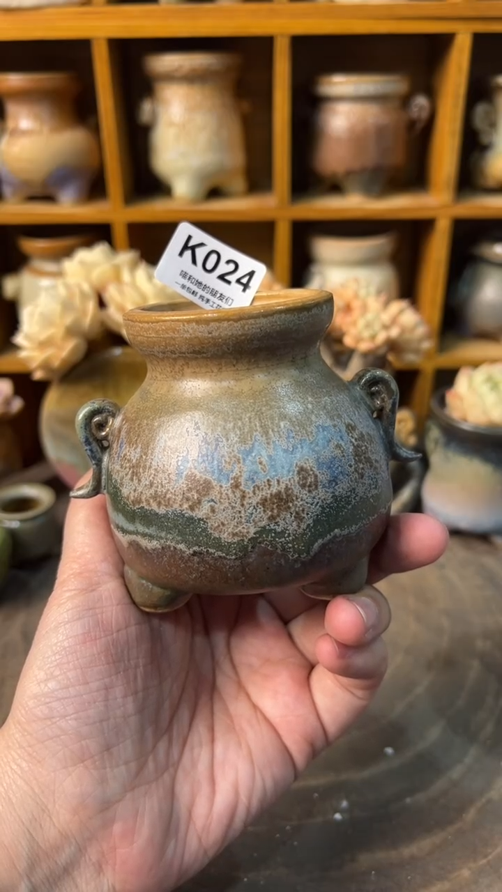 苏*024【多肉花盆多肉盆】