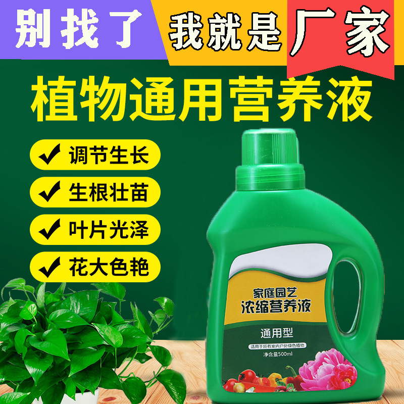 园艺植物营养液通用型土水培盆栽花卉百合竹千年木液体花肥料批发