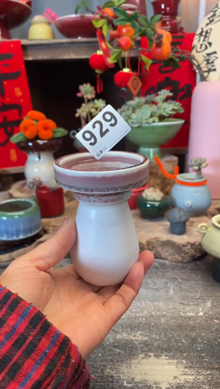 【闪购商品】摆件929知木小芳花盆