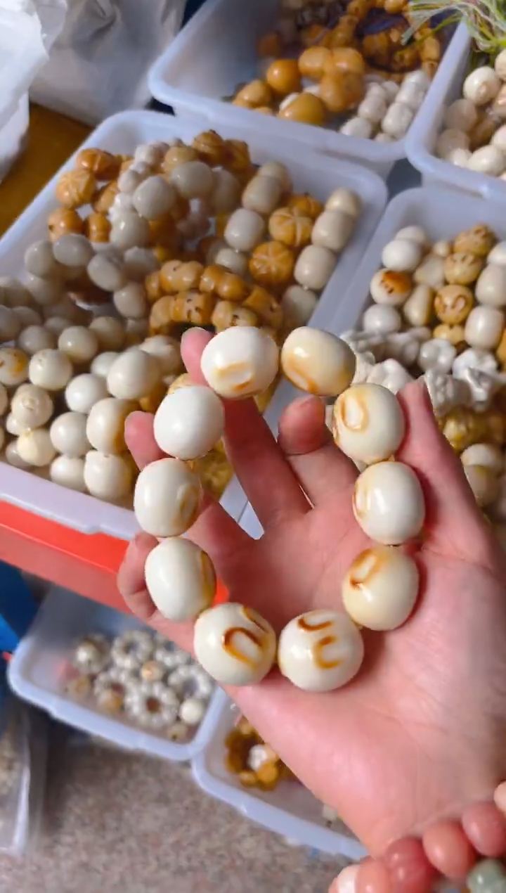 吊坠菩提根/象牙果新款馒头兔单圈