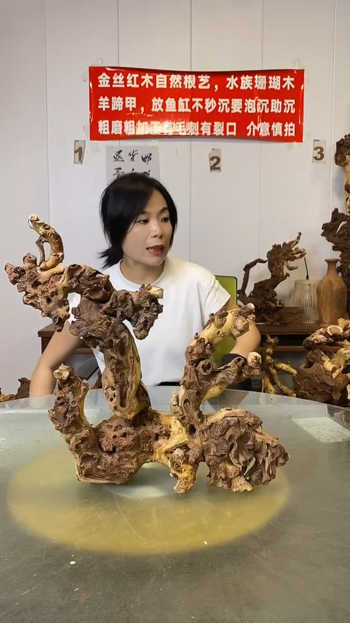 香榧木因*金丝红木 羊蹄甲