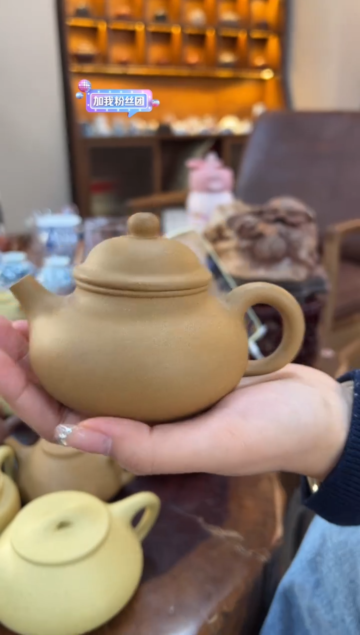 【闪购商品】紫砂茶壶【头哥手工壶】容天黄金段