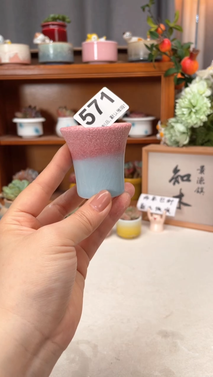 瓷片571小芳花盆直播编号