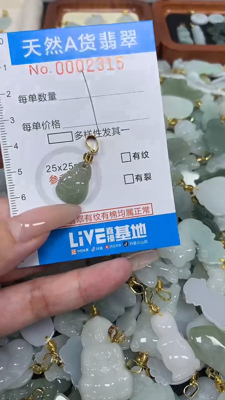 翡翠未镶嵌颈饰净货挂件-2315