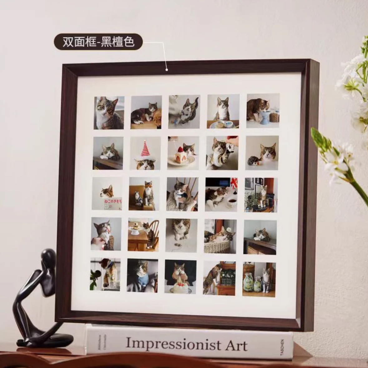 凯乐的猫咪宝贝相册