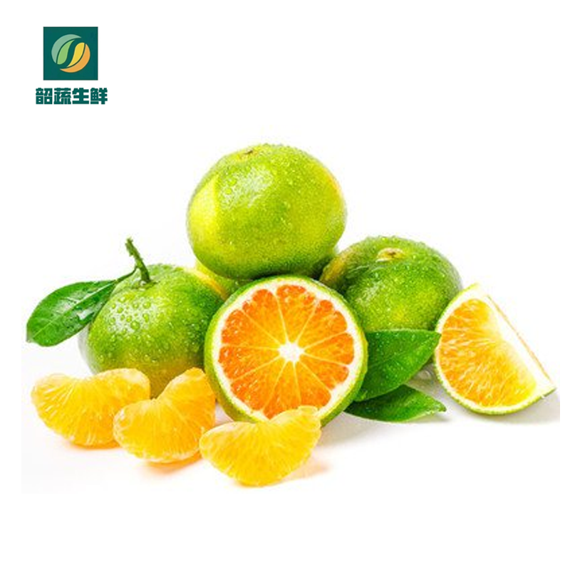 （精选）东江蜜橘 3斤