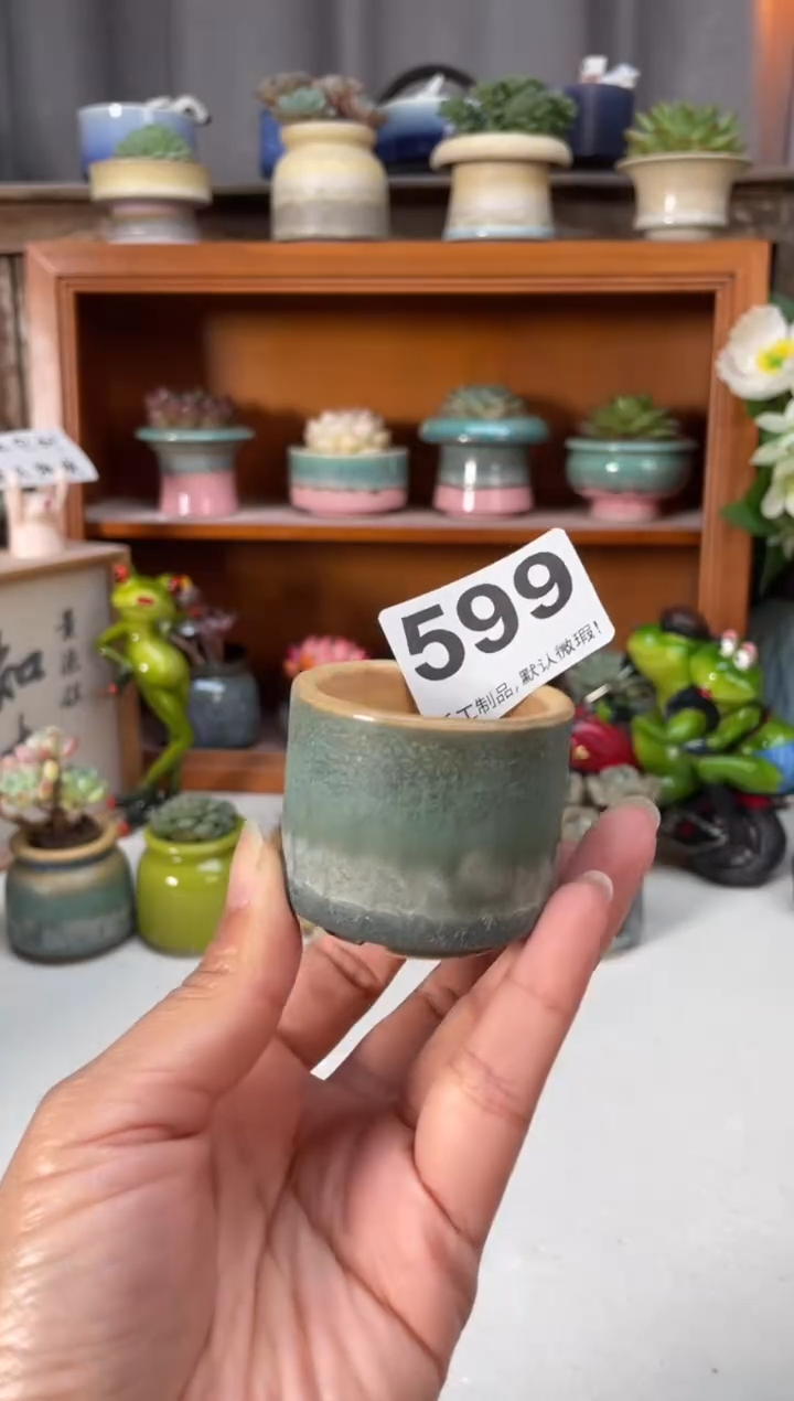瓷片599小芳直播编号