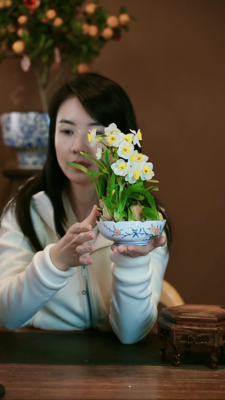 【闪购商品】盆景雕刻水仙