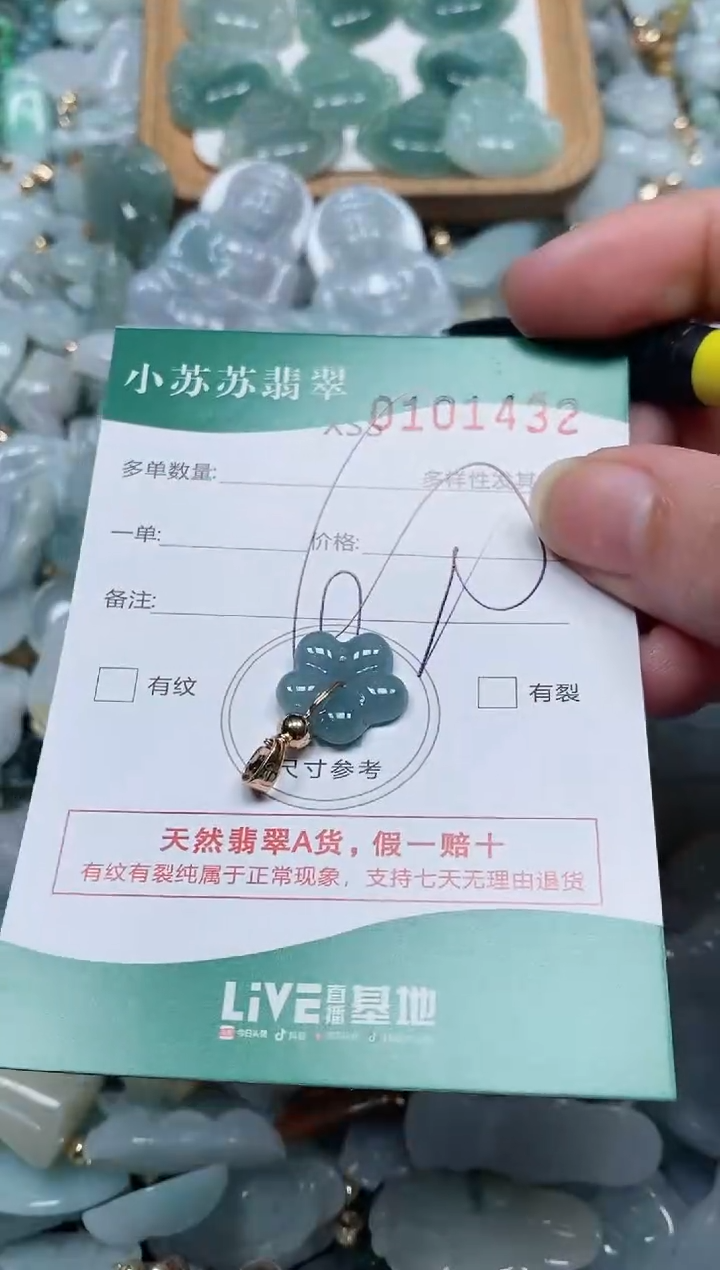 【闪购商品】翡翠颈饰未镶嵌闪购商品0101432