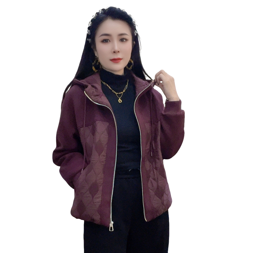 莉丽佳8822款女装长袖连帽拉链压格拼接外套时尚洋气休闲百搭爆款