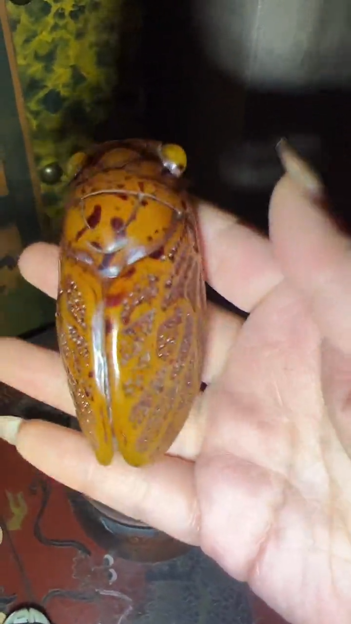 树脂高端创意福利摆件