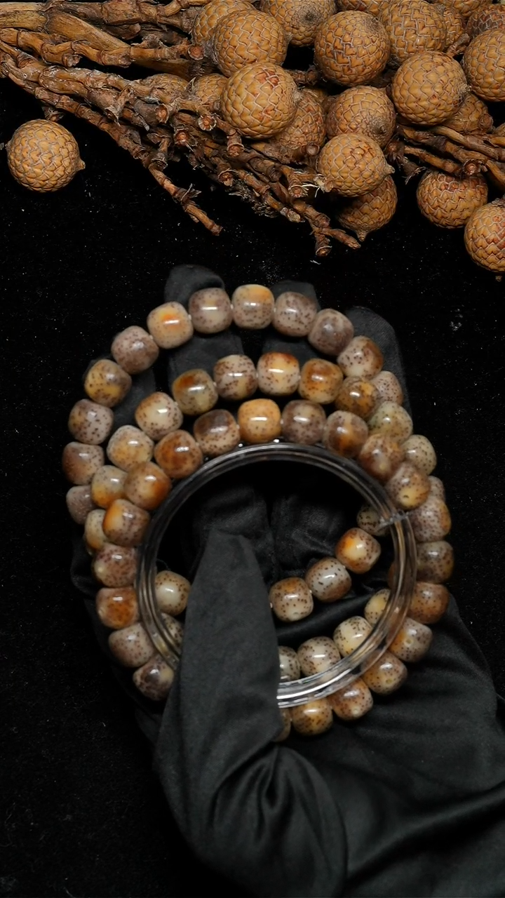 手串星月菩提10*9焦糖火烧云-KF火烧