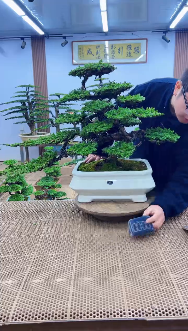 无花朵0000000000000