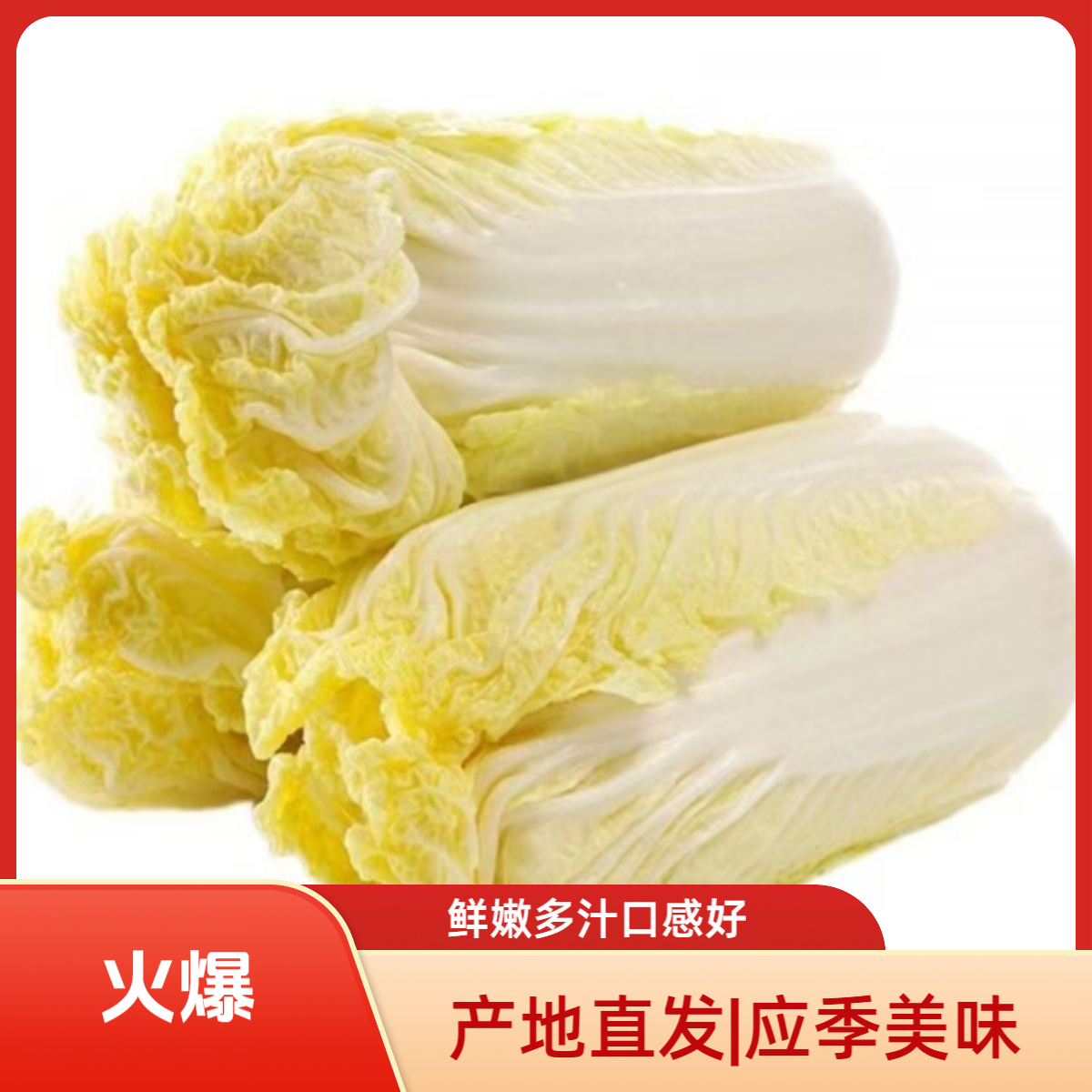 云南高原黄心娃娃菜黄心小白菜当季新鲜蔬菜露天种植现摘现发