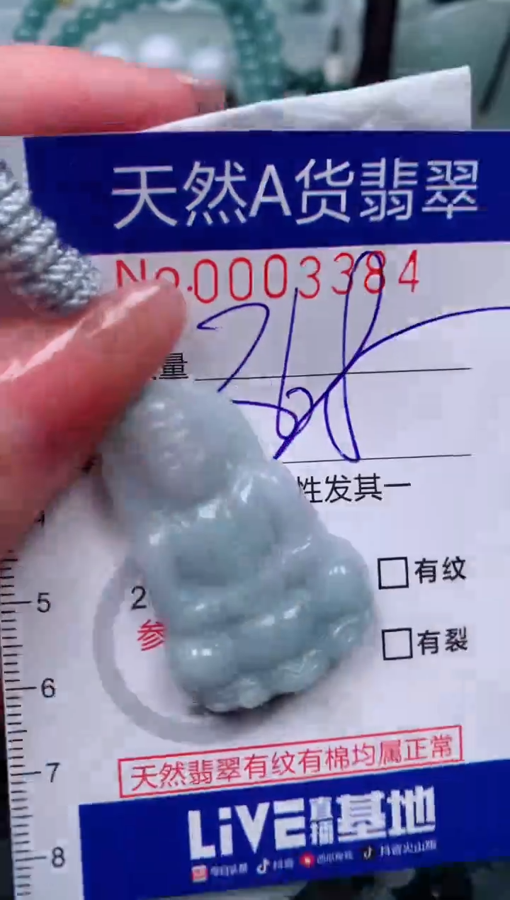 【闪购商品】翡翠颈饰未镶嵌00003384