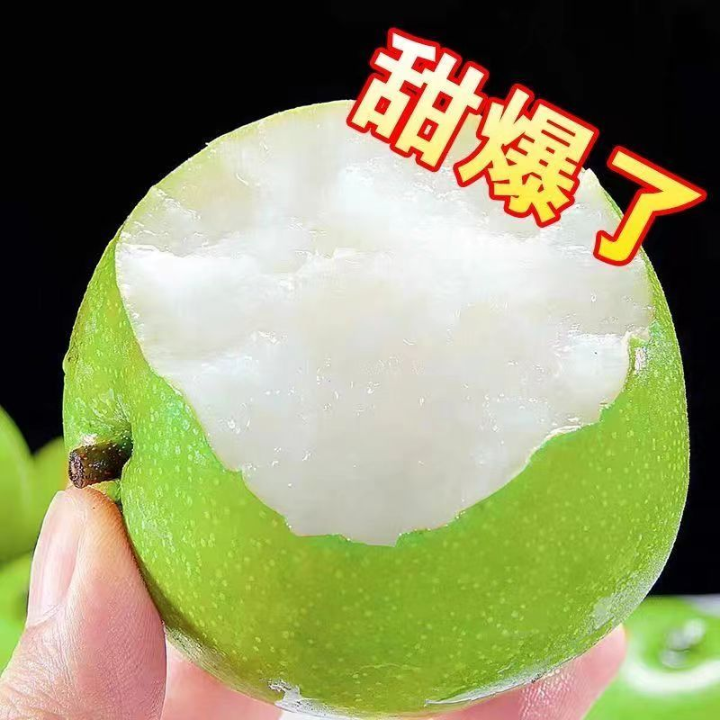 2025年头茬青皮砀山梨脆甜多汁产地现摘现发10斤装