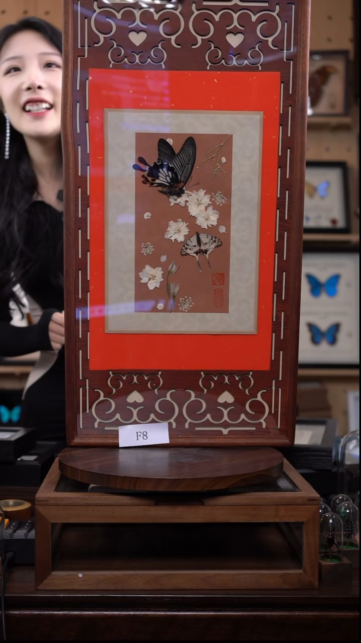 蝴蝶标本摆件竞拍f8