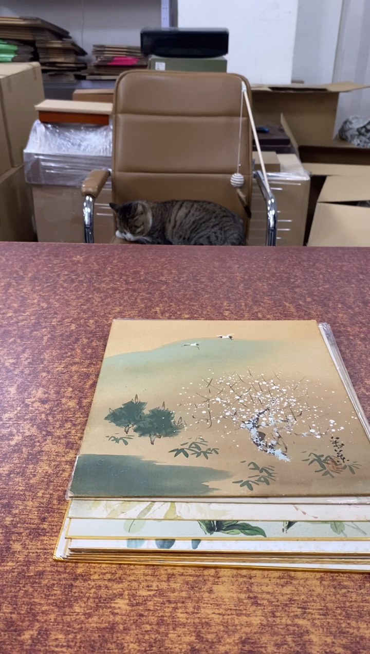 瓷片小****u681小林轩欢迎您