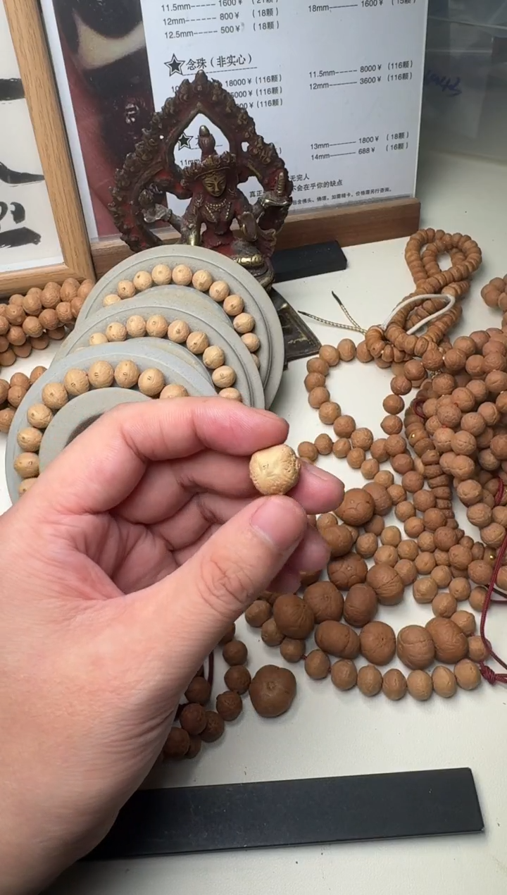 吊坠凤眼菩提15.8/13.3实心树王四喜