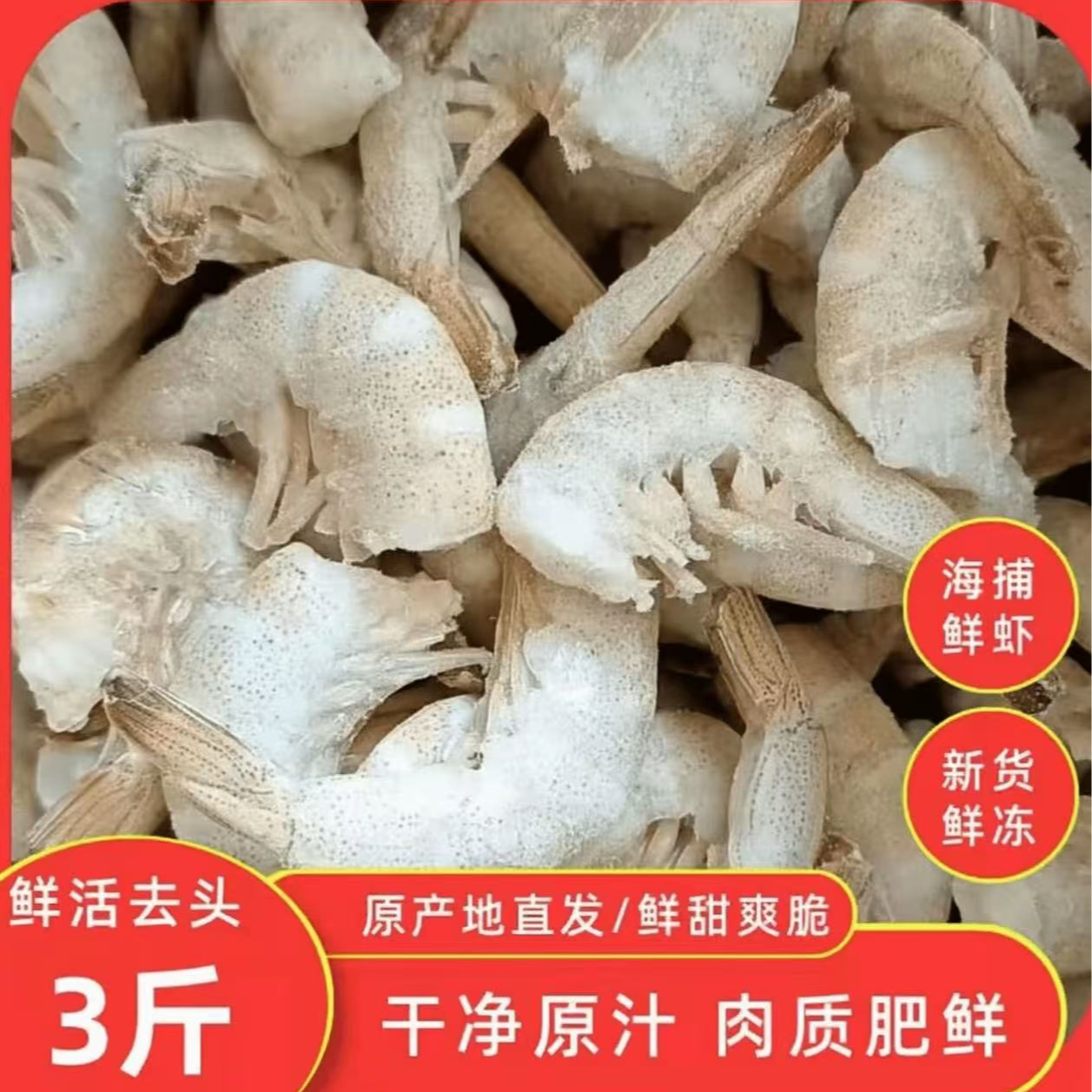 【小茹妹】野生羊毛虾尾 鲜活去头海鲜羊毛虾尾3斤/箱