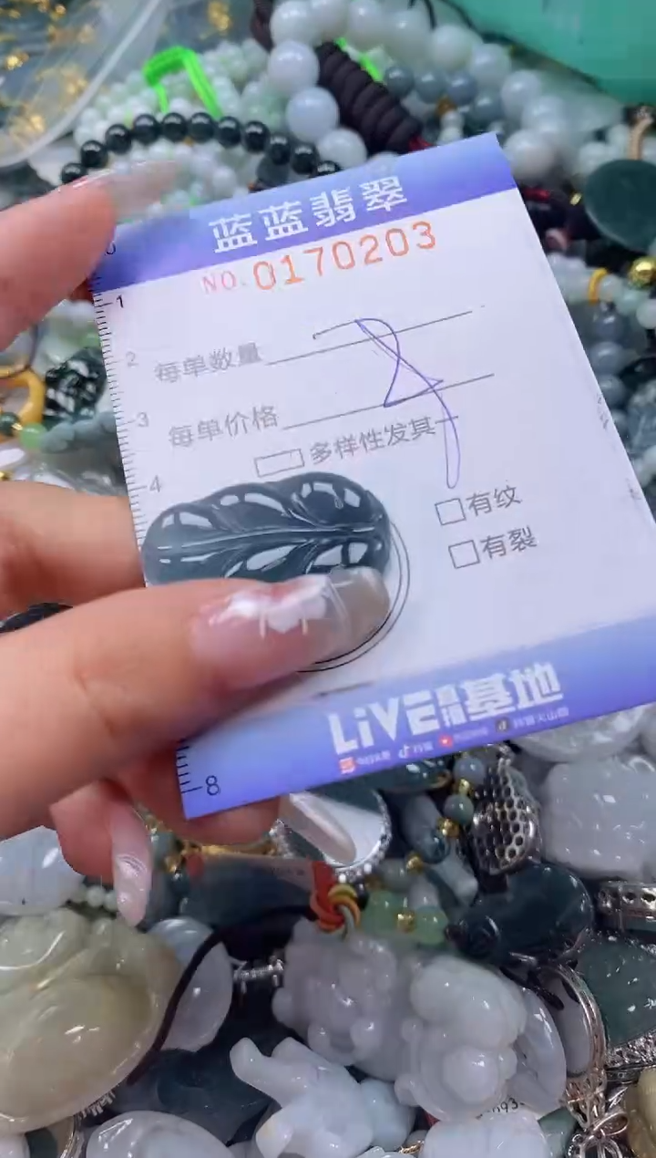 【闪购商品】翡翠颈饰未镶嵌闪购0170203