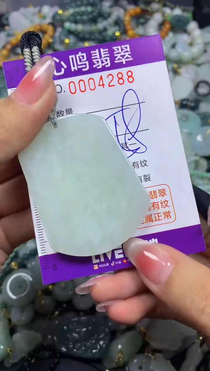 【闪购商品】翡翠颈饰未镶嵌闪购004288