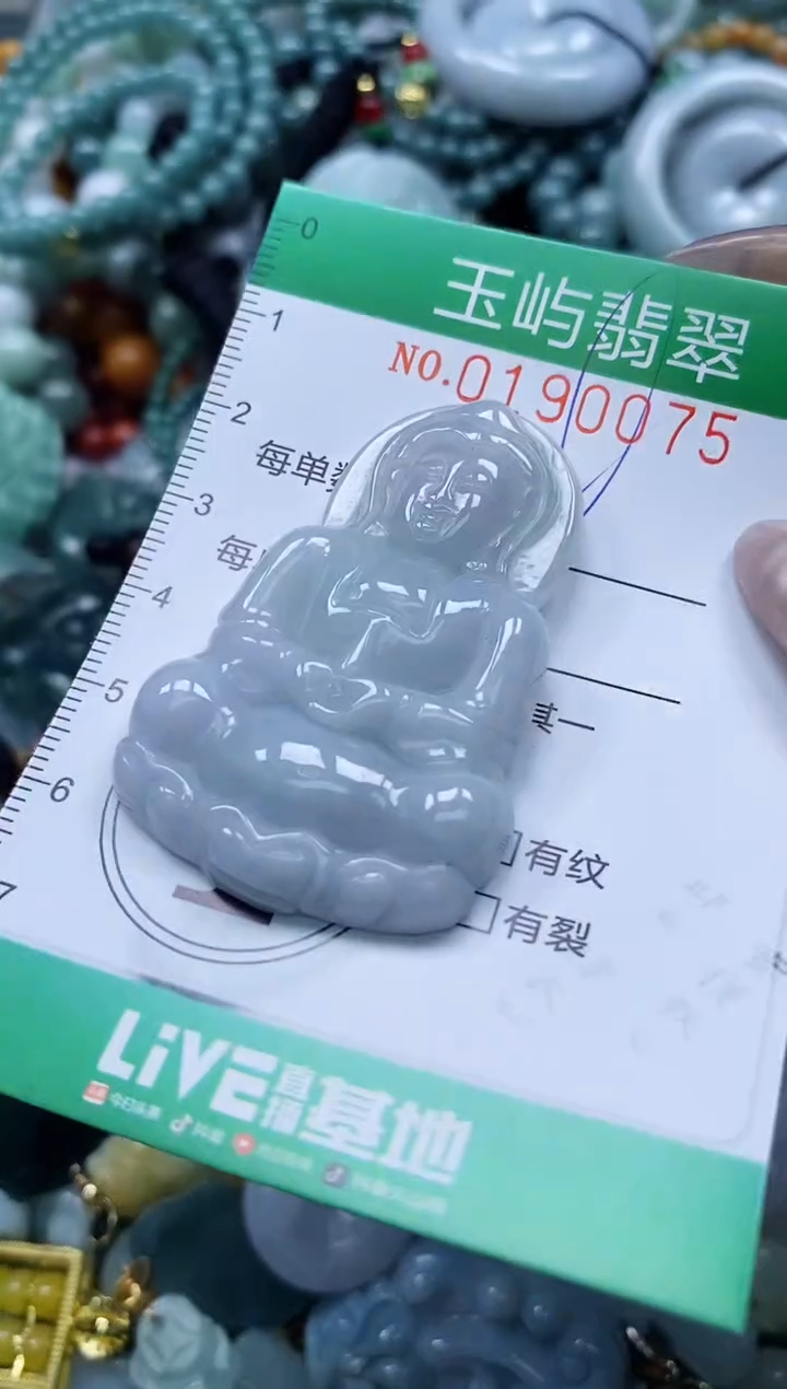 翡翠未镶嵌颈饰闪购0190075