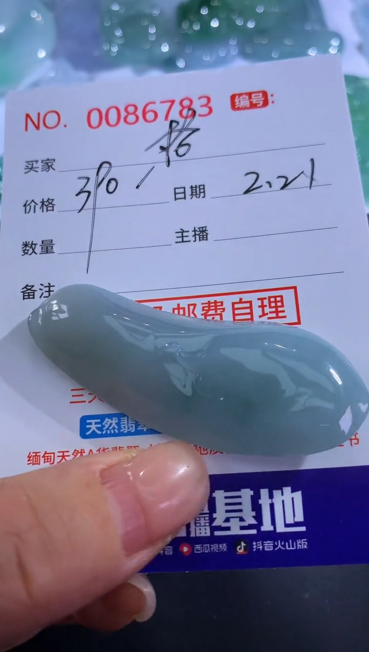 【闪购商品】翡翠颈饰未镶嵌格