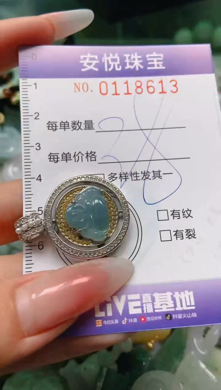 【闪购商品】翡翠颈饰未镶嵌闪购0118613