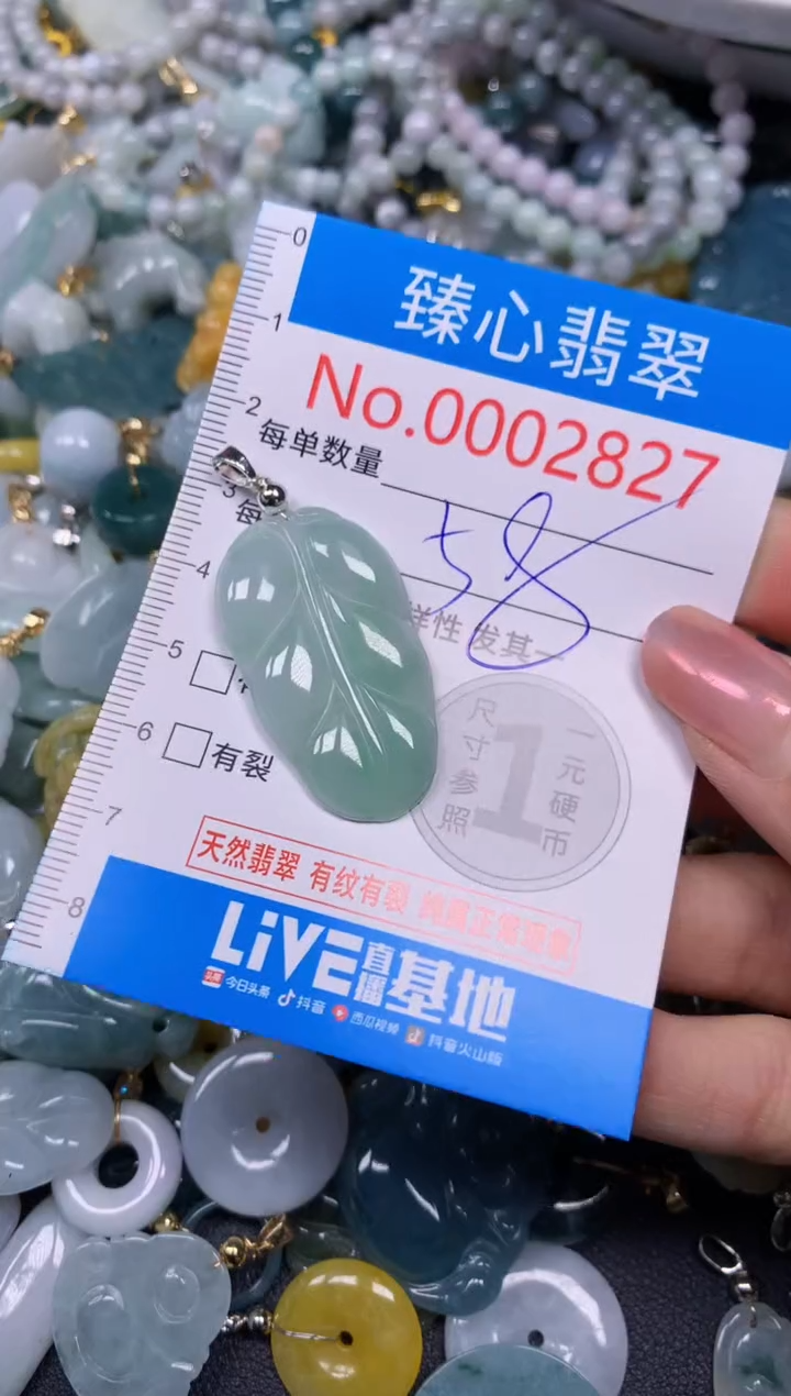 【闪购商品】翡翠颈饰未镶嵌含绳0002827