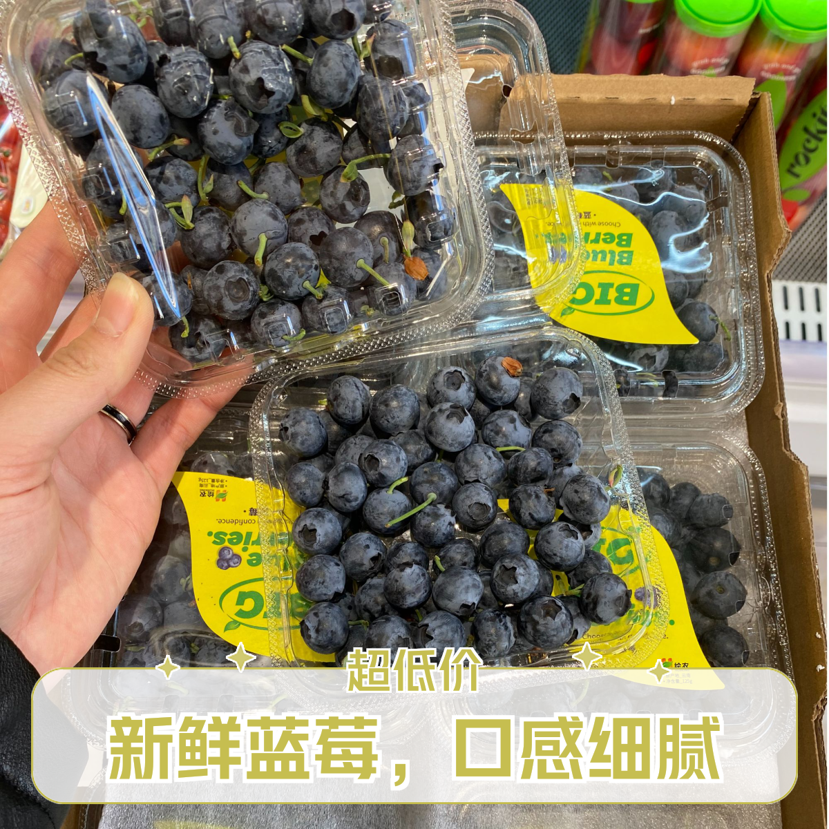 云南绘民蓝莓中果 4盒 500g（16mm-17mm）