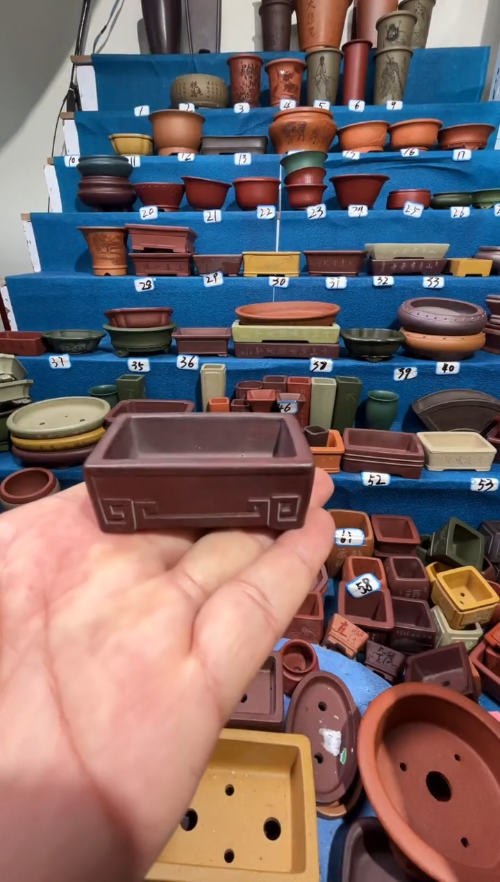 【闪购商品】紫砂花盆5.5*3.5*1.5