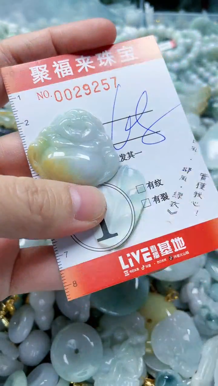 【闪购商品】翡翠颈饰未镶嵌闪购0029257