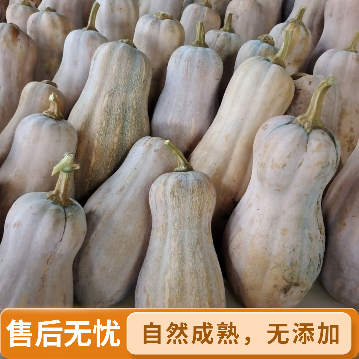 贵州好地道南瓜香甜可口清香