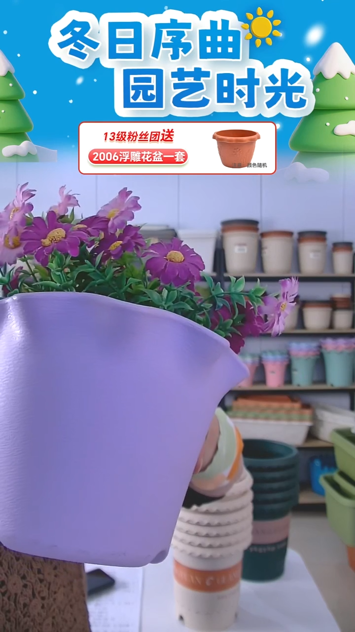 矮荷叶边2号盆5套带托盘