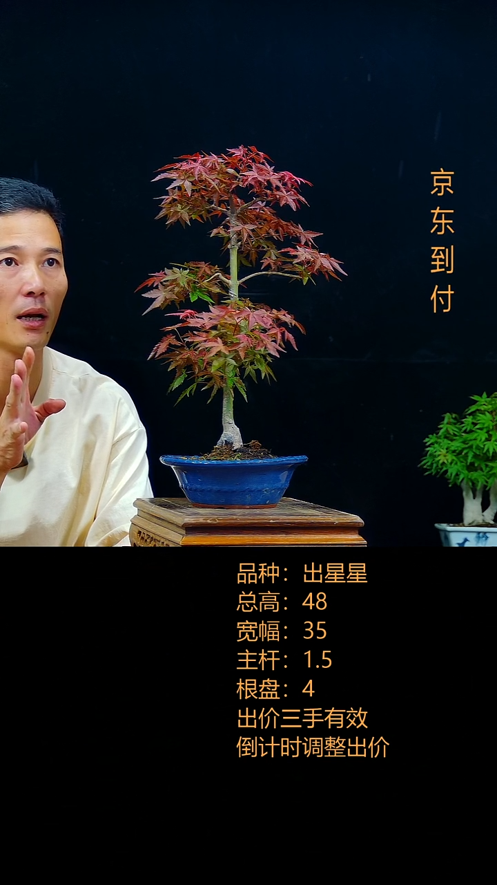 无花朵雾**花0000000