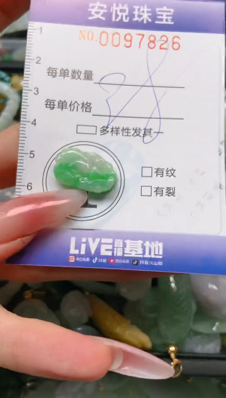 【闪购商品】翡翠颈饰未镶嵌闪购0097826