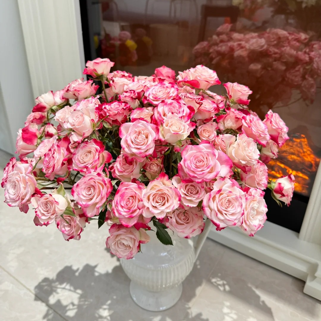 【粉折射泡泡】多头玫瑰，0度以下未拍保温棉冻伤不售后