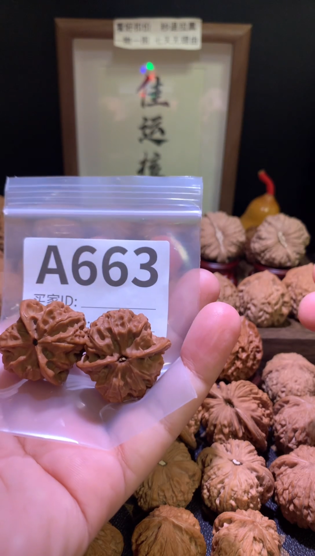 把件文玩核桃盘石33尺