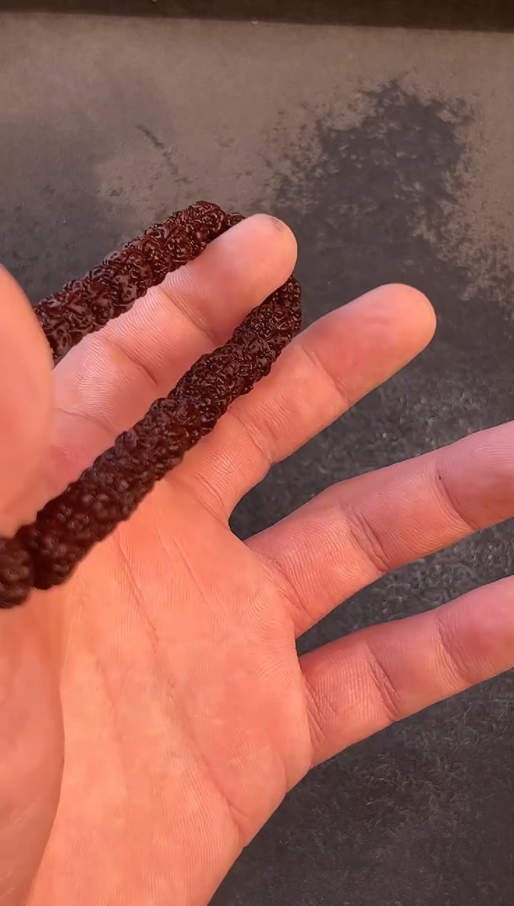 手串金刚菩提E***o9+老树王
