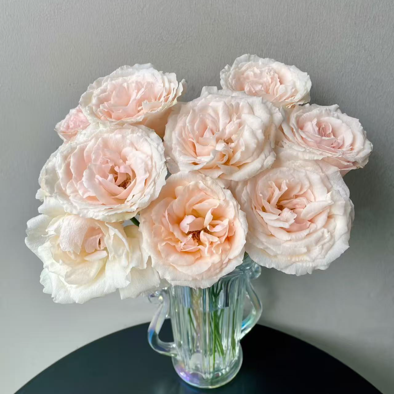 【大力甄选】AA级佰丽甜单头玫瑰 云南基地现采现发 一单包邮