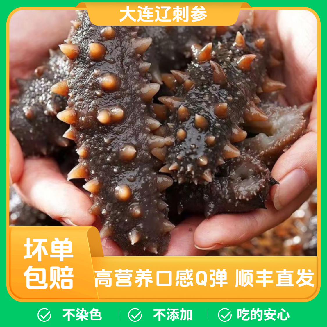 【秋季头茬】纯劲道Q弹参王4-12头即食辽参活参加工滋补营养包顺丰