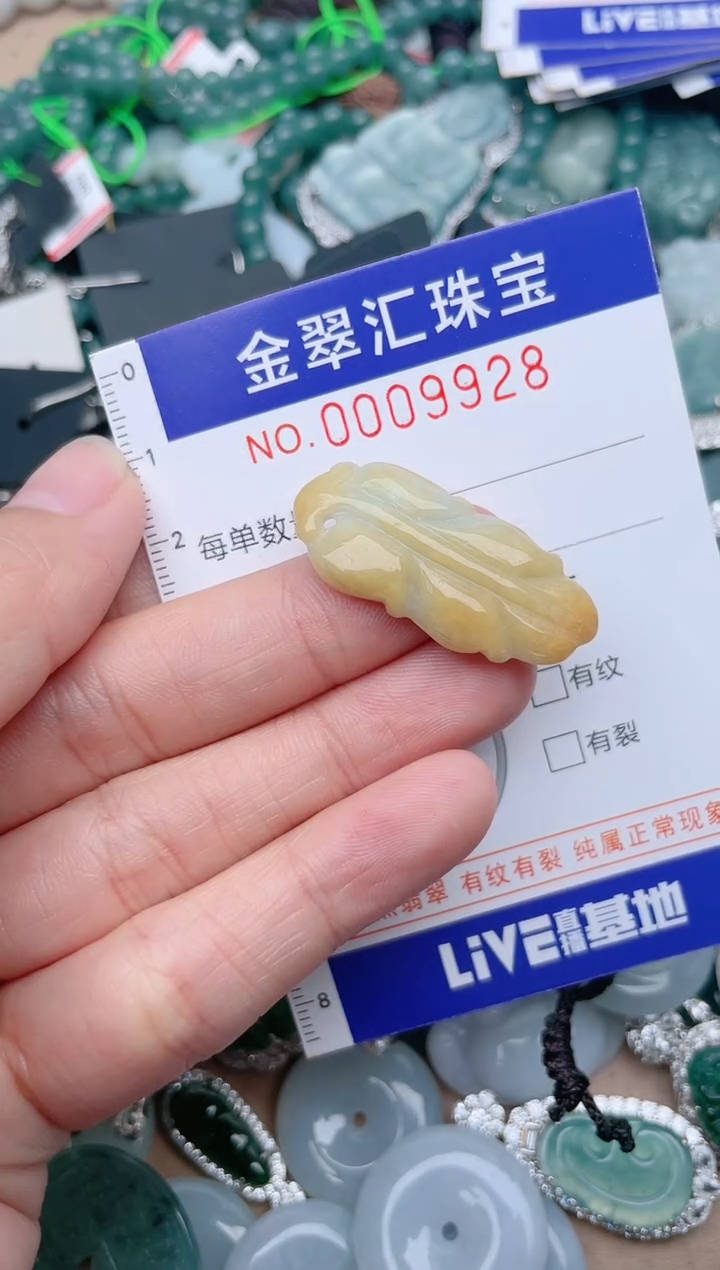 翡翠未镶嵌颈饰9928........1