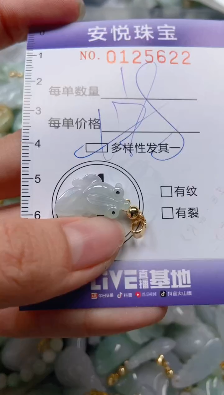 【闪购商品】翡翠颈饰未镶嵌闪购0125622多样性发其一