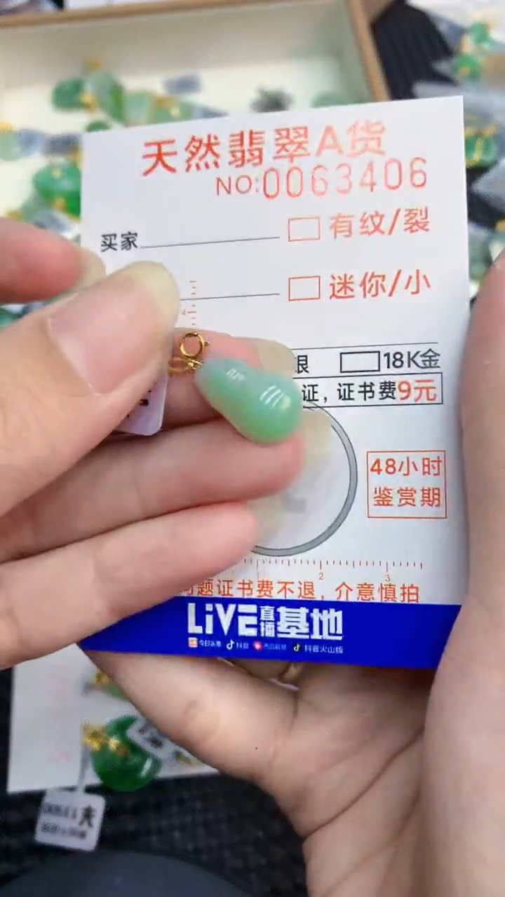 【闪购商品】翡翠颈饰18K金镶嵌            8