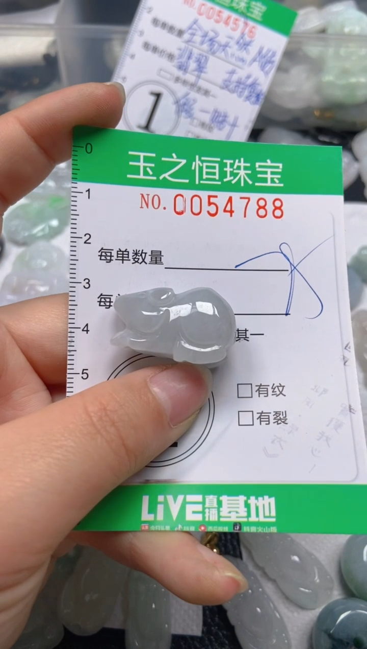 【闪购商品】翡翠未镶嵌颈饰闪购0054788